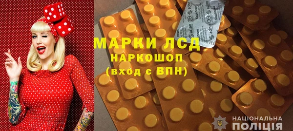 стаф Абинск