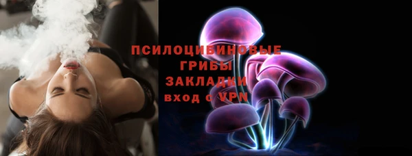 стаф Абинск