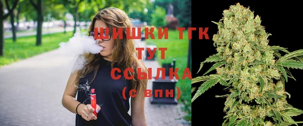 стаф Абинск