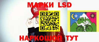 индика Тверь