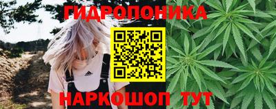 индика Тверь
