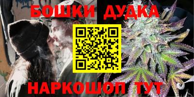 индика Тверь