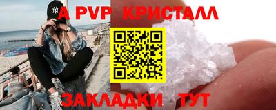 индика Тверь