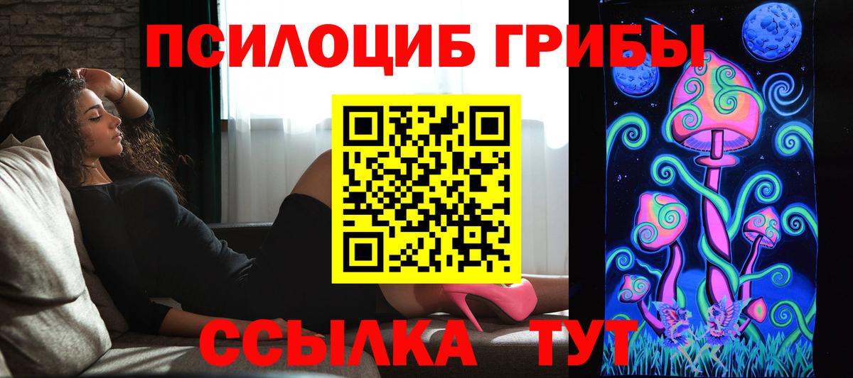 Шарыпово  Псилоцибиновые грибы GOLDEN TEACHER  Псилоцибиновые грибы Psilocybine cubensis  Вход с VPN 